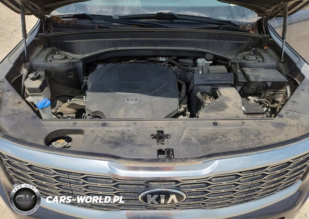 2020 Kia Telluride S VIN:5XYP6DHC2LG089720 - 12