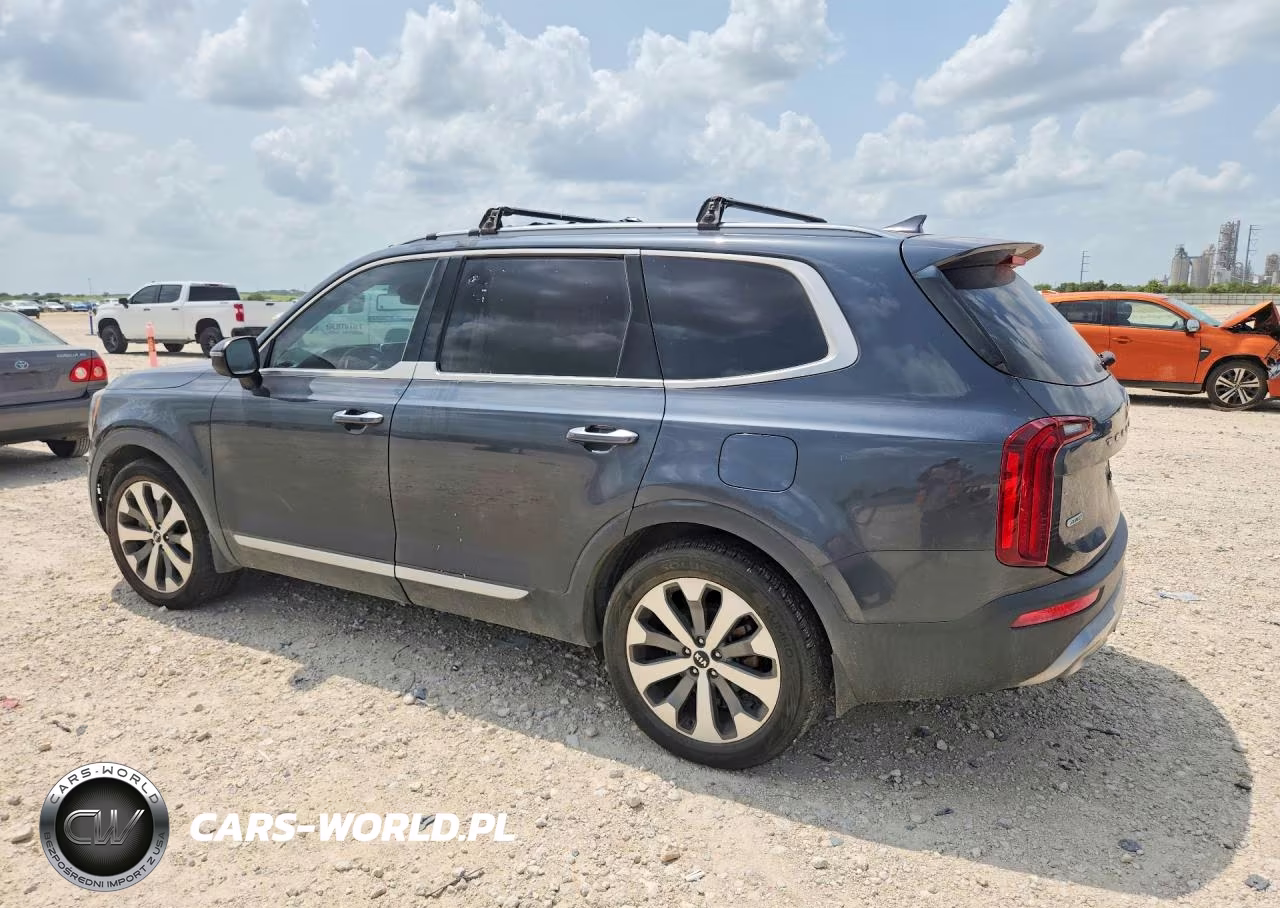 2020 Kia Telluride S VIN:5XYP6DHC2LG089720 - 2