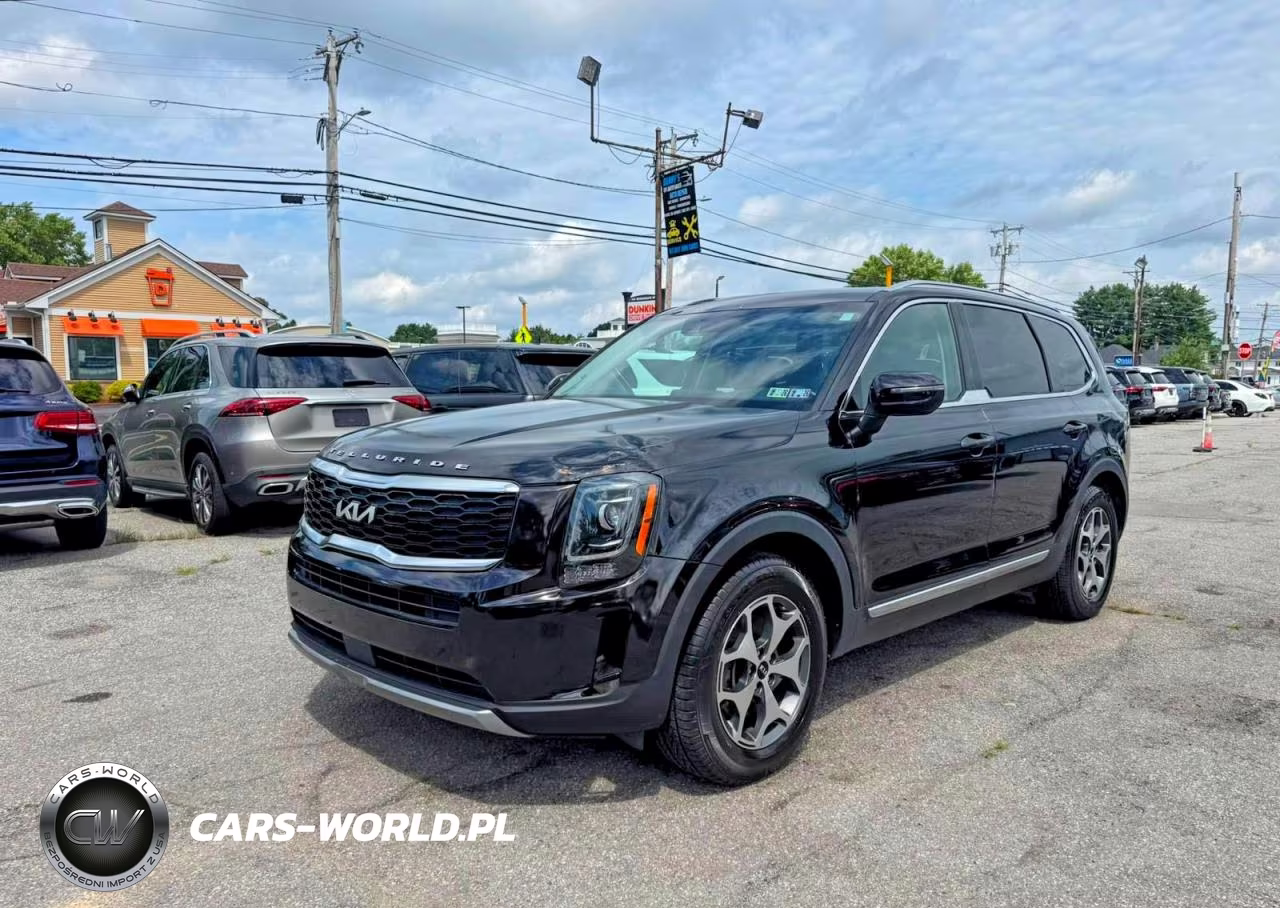 2022 Kia Telluride Ex VIN:5XYP3DHC5NG204841 - 2