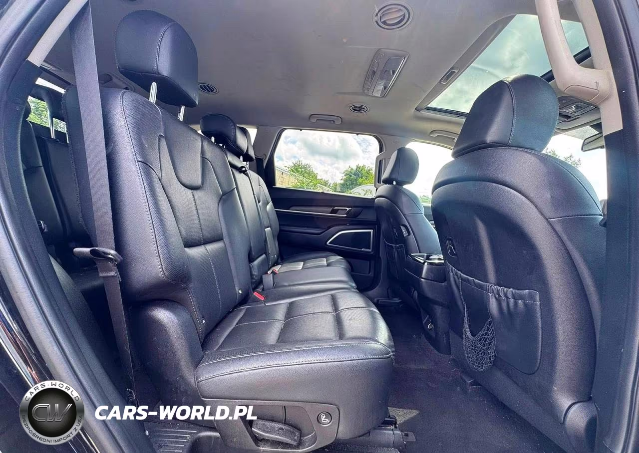 2022 Kia Telluride Ex VIN:5XYP3DHC5NG204841 - 6