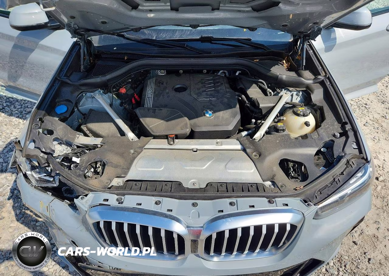 2022 BMW X3 xDrive30I VIN:5UX53DP07N9J77916 - 12
