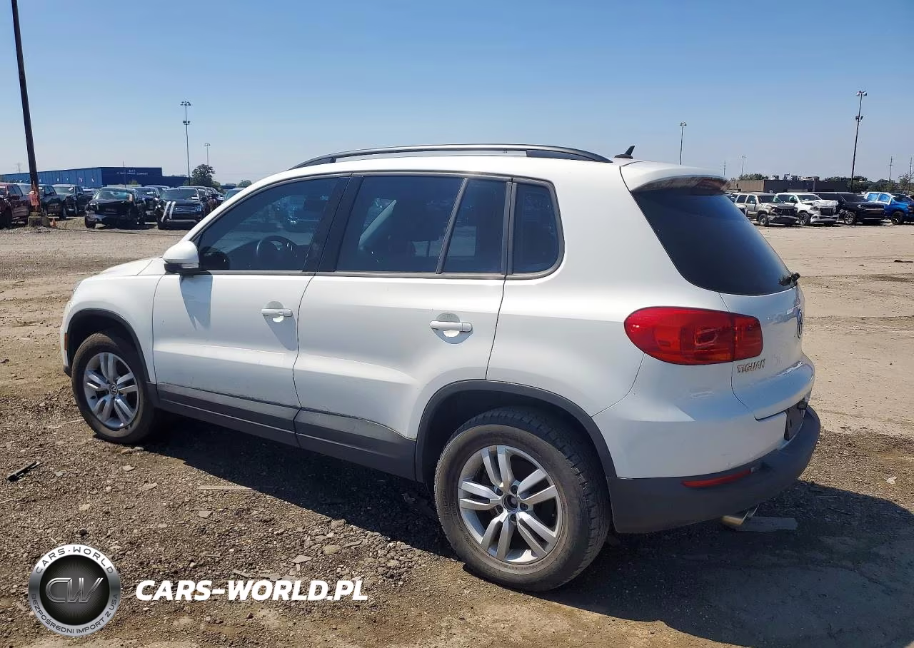 2016 Volkswagen Tiguan S VIN:WVGBV7AX2GW557218 - 2