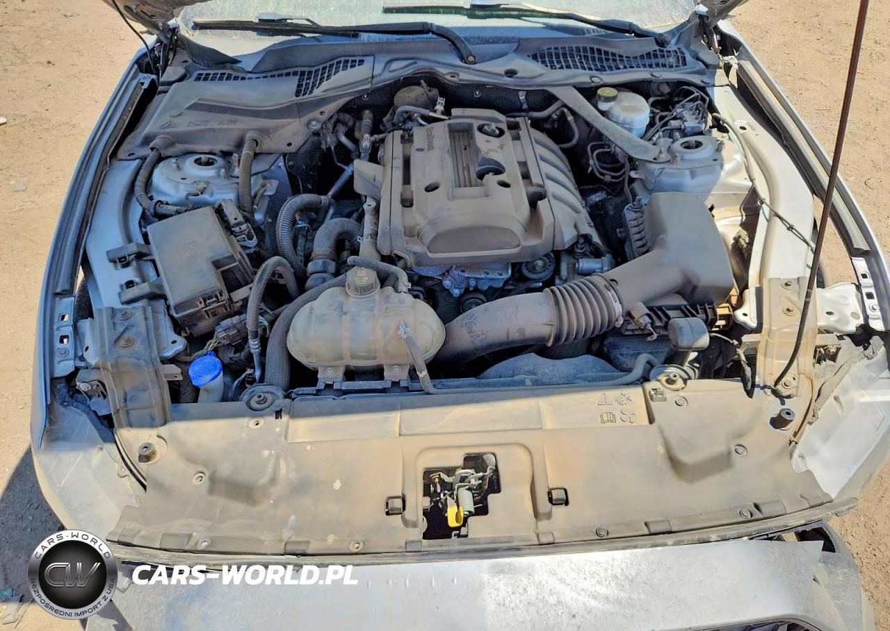 2020 Ford Mustang VIN:1FATP8UH8L5139510 - 11