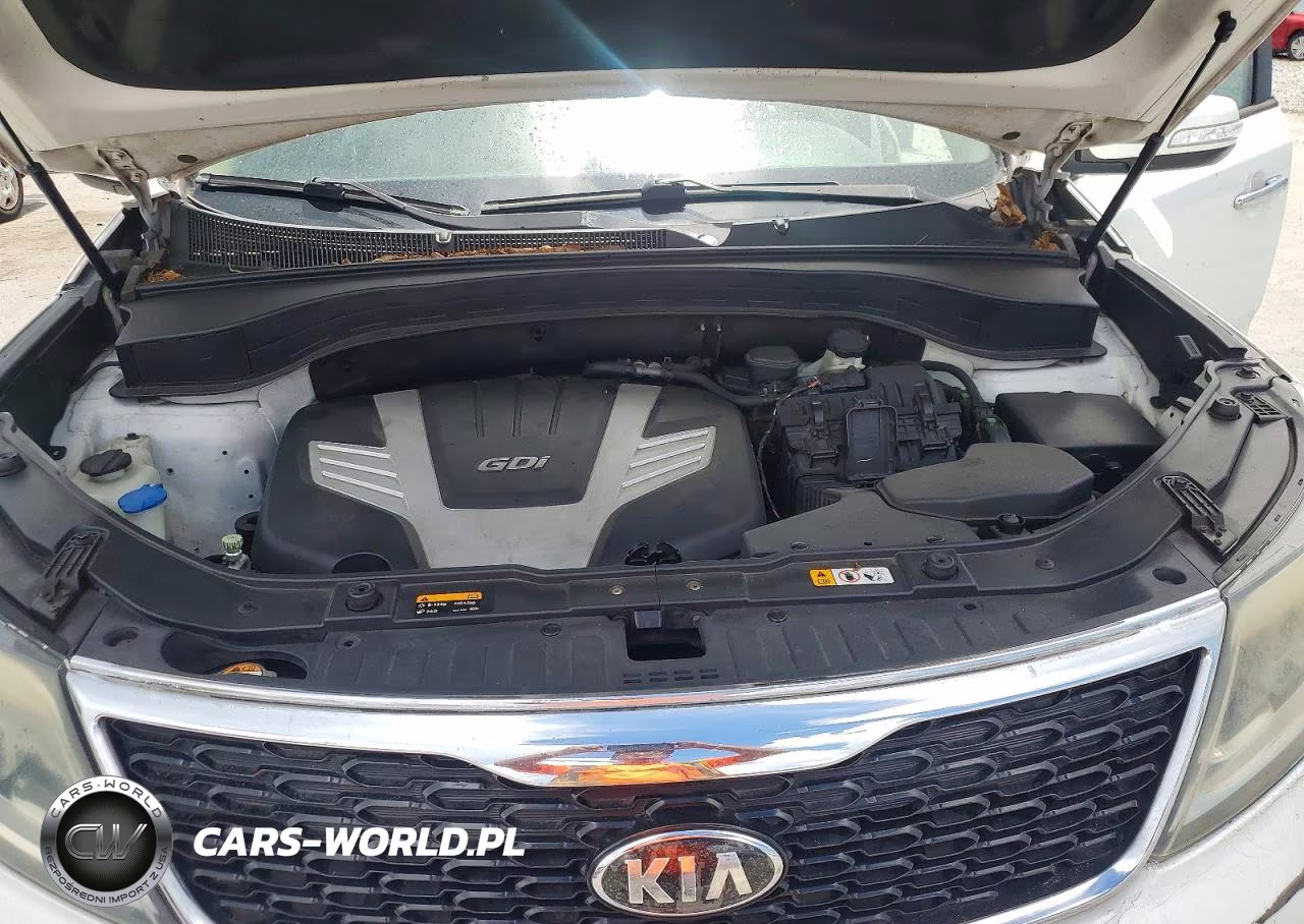 2014 Kia Sorento Lx VIN:5XYKT4A72EG479851 - 12