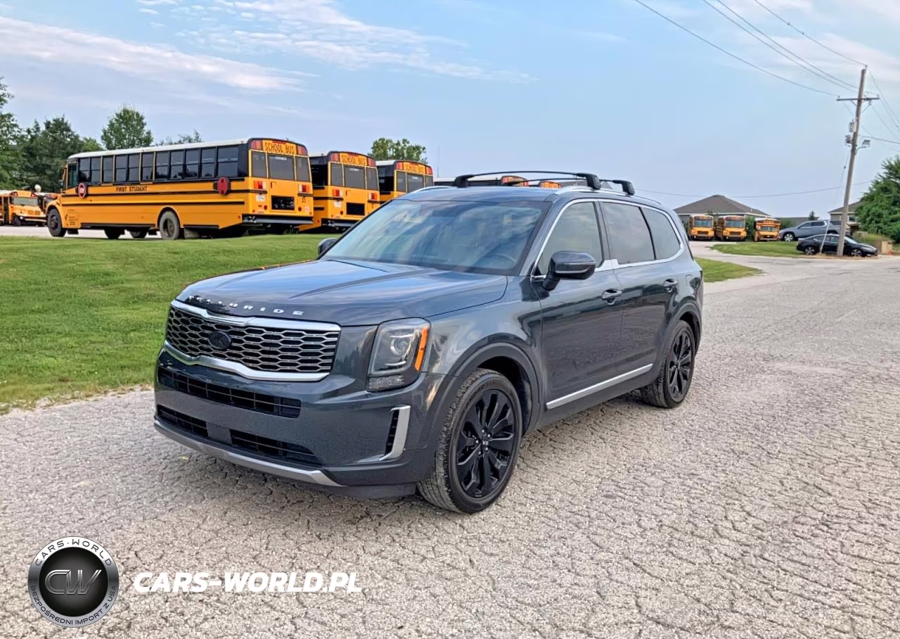 2020 Kia Telluride Ex VIN:5XYP3DHC7LG058410 - 2