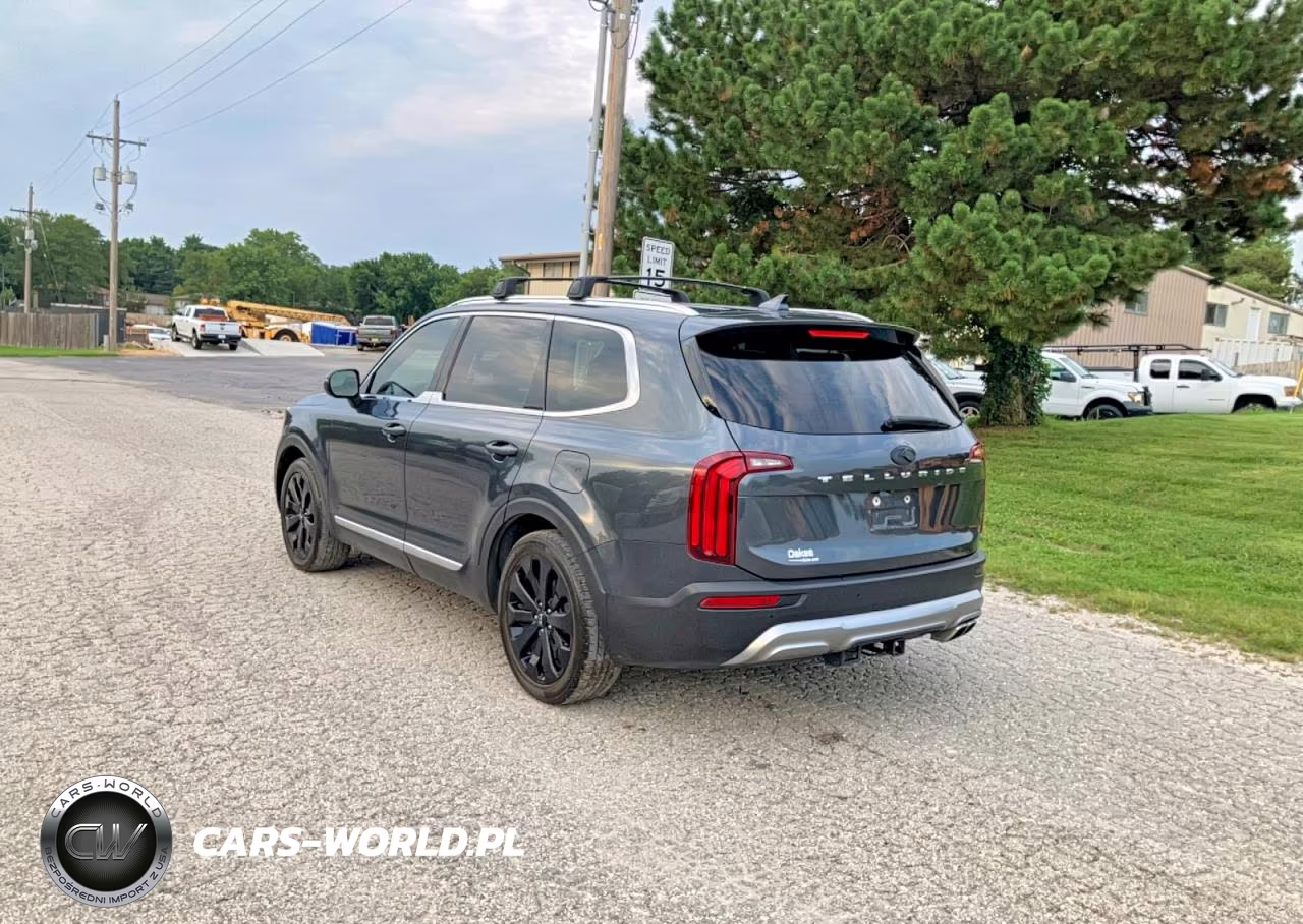 2020 Kia Telluride Ex VIN:5XYP3DHC7LG058410 - 3