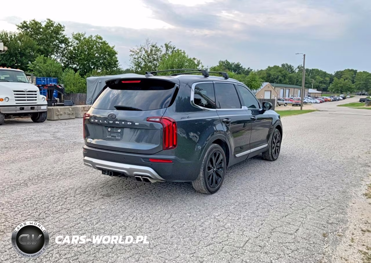 2020 Kia Telluride Ex VIN:5XYP3DHC7LG058410 - 4