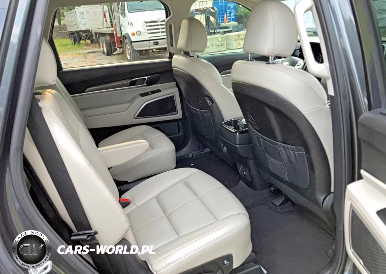 2020 Kia Telluride Ex VIN:5XYP3DHC7LG058410 - 6