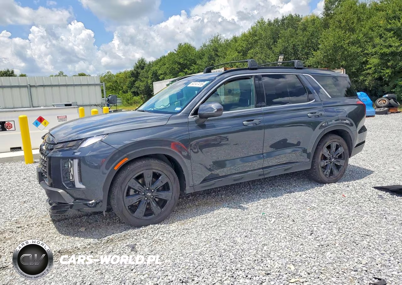 2024 Hyundai Palisade Xrt VIN:KM8R34GE2RU701440 - 1