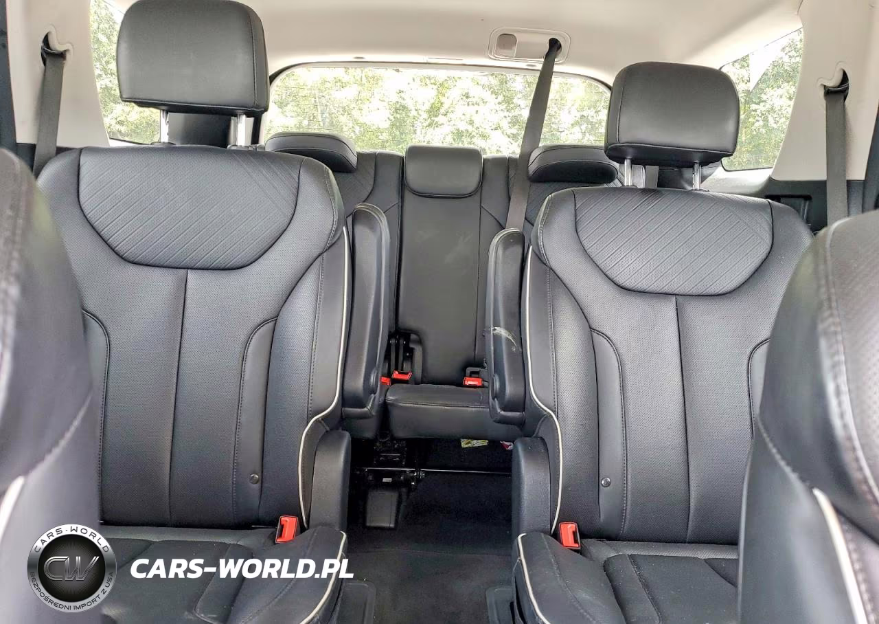 2024 Hyundai Palisade Xrt VIN:KM8R34GE2RU701440 - 10