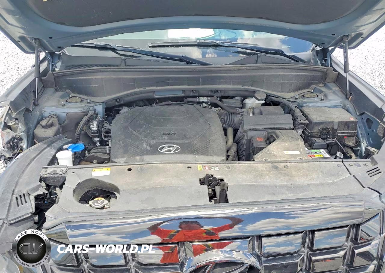 2024 Hyundai Palisade Xrt VIN:KM8R34GE2RU701440 - 12