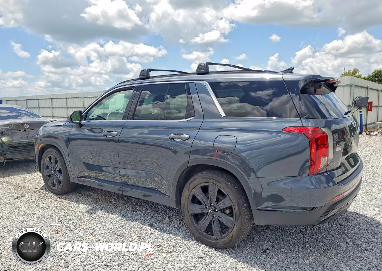 2024 Hyundai Palisade Xrt VIN:KM8R34GE2RU701440 - 2