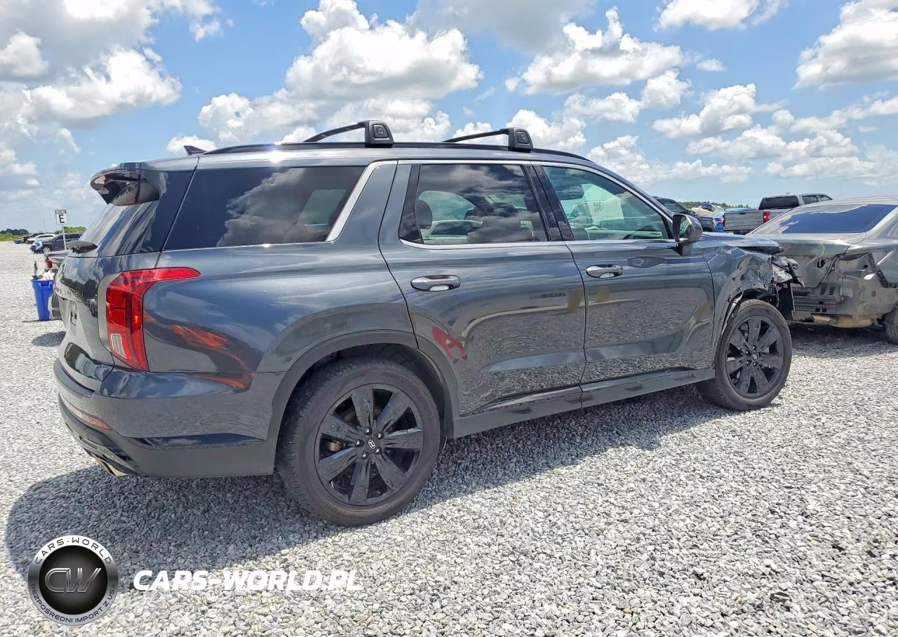 2024 Hyundai Palisade Xrt VIN:KM8R34GE2RU701440 - 3