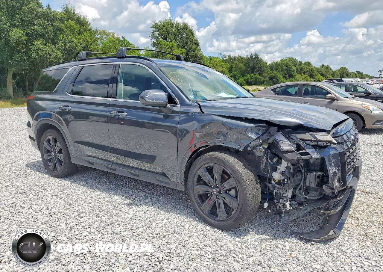 2024 Hyundai Palisade Xrt VIN:KM8R34GE2RU701440 - 4