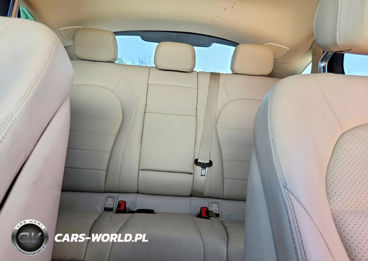 2017 Mercedes-Benz Glc Coupe 300 4Matic VIN:WDC0J4KB2HF247333 - 10