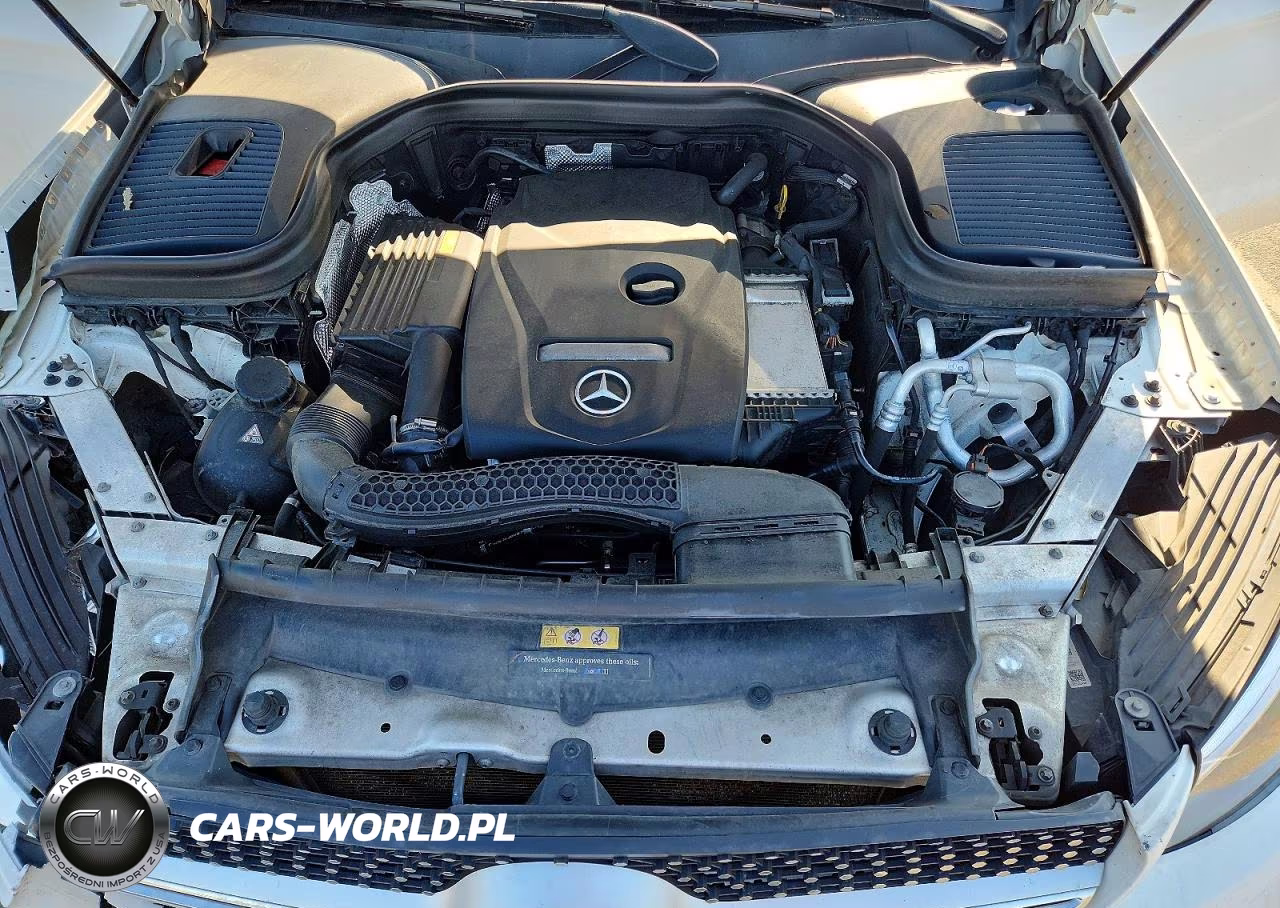 2017 Mercedes-Benz Glc Coupe 300 4Matic VIN:WDC0J4KB2HF247333 - 12