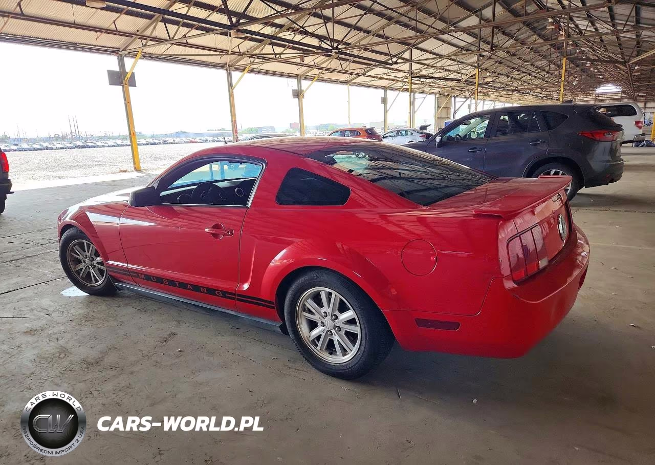 2008 Ford Mustang VIN:1ZVHT80N385187671 - 2