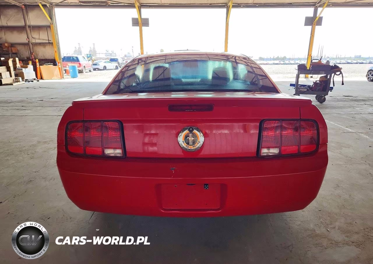2008 Ford Mustang VIN:1ZVHT80N385187671 - 6