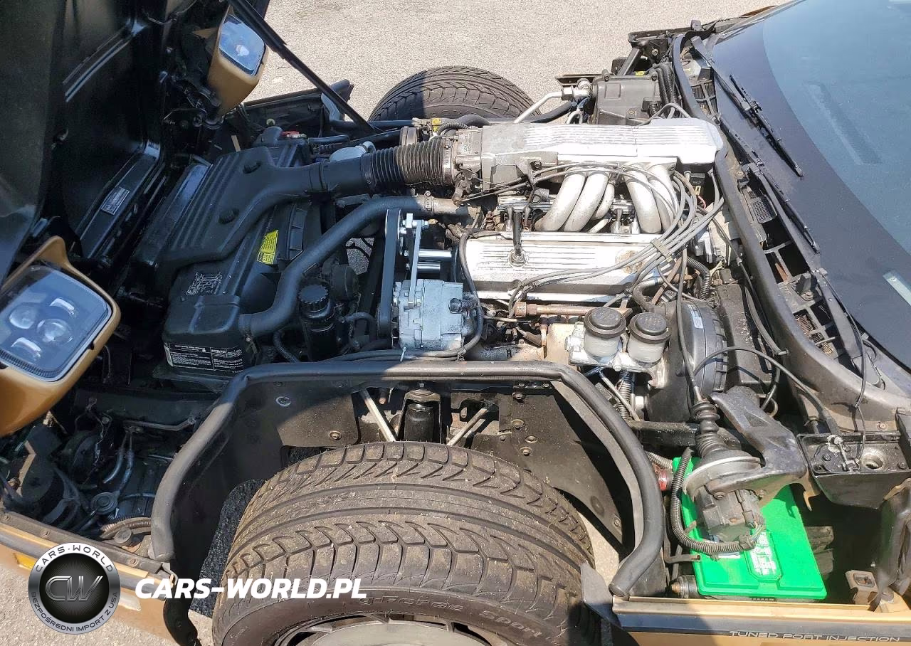 1985 Chevrolet Corvette VIN:1G1YY0789F5118138 - 11