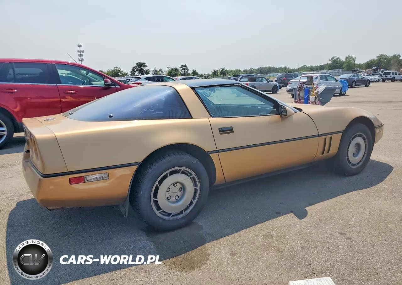 1985 Chevrolet Corvette VIN:1G1YY0789F5118138 - 3