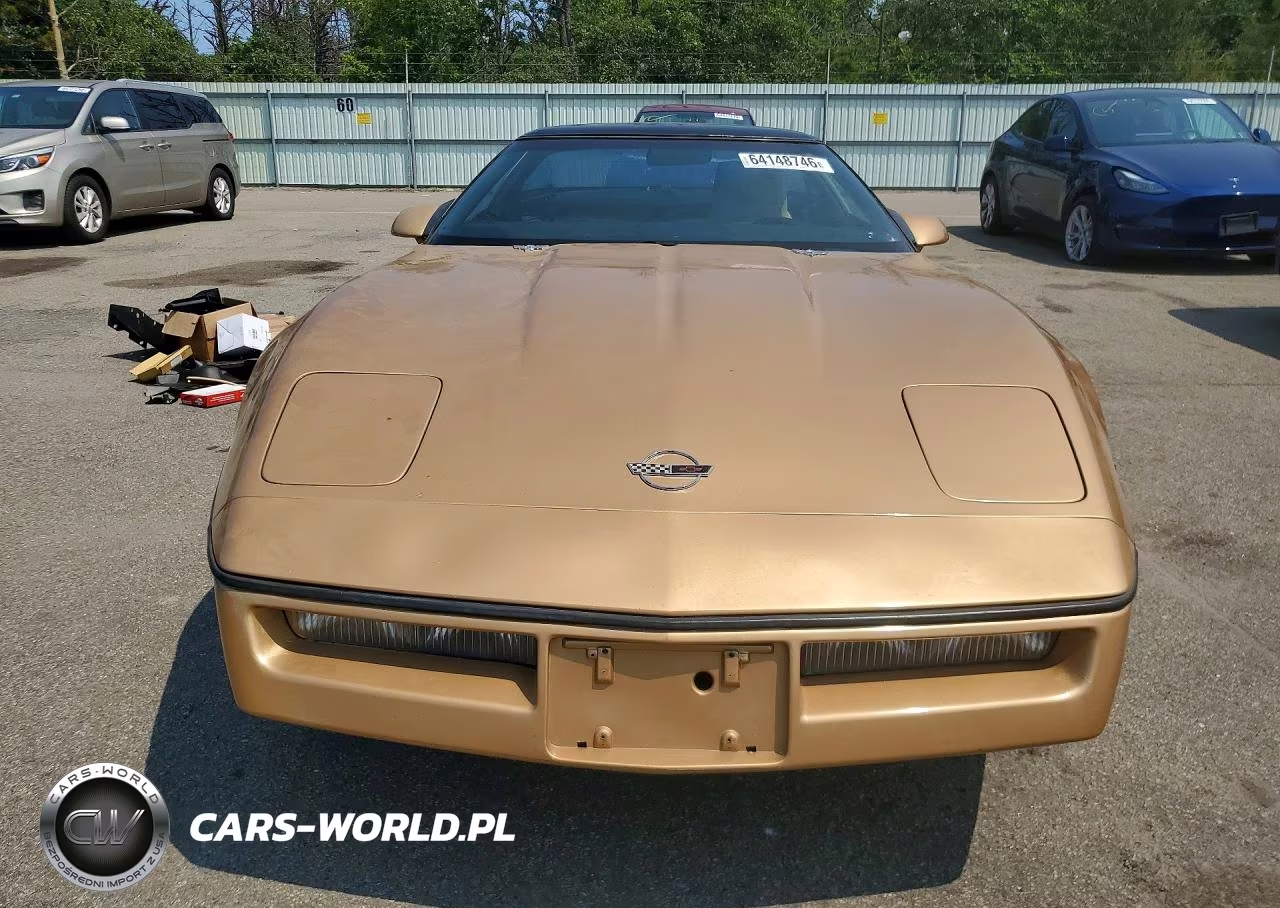 1985 Chevrolet Corvette VIN:1G1YY0789F5118138 - 5
