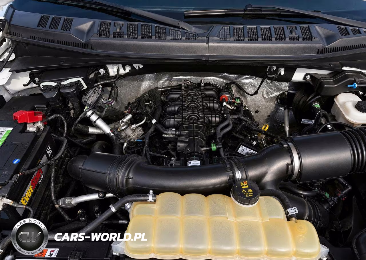 FORD F150 SUPER VIN:1FTEW1EG1HFB33214 - 7