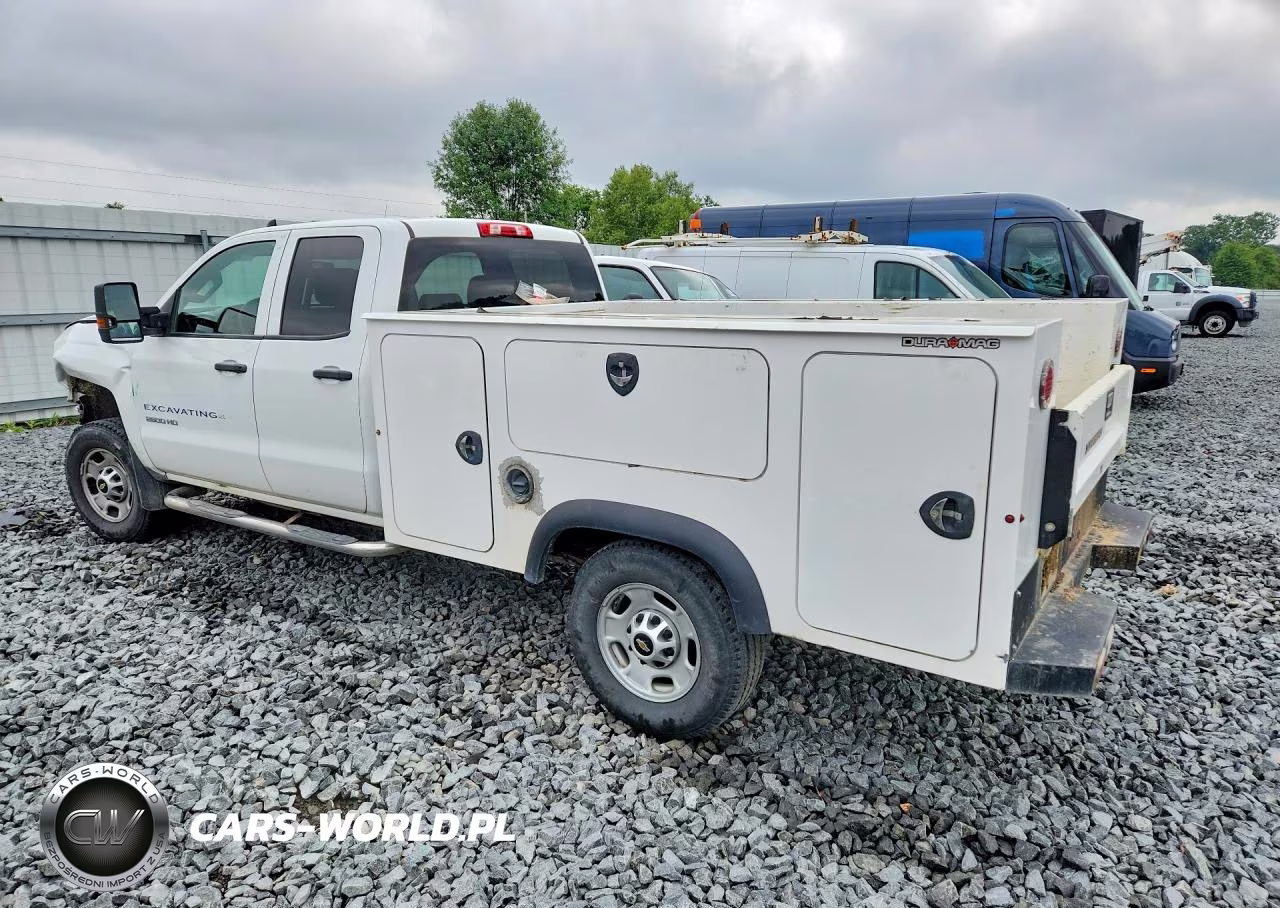 2019 Chevrolet Silverado C2500 Heavy Duty VIN:2GB2CREG8K1235719 - 2