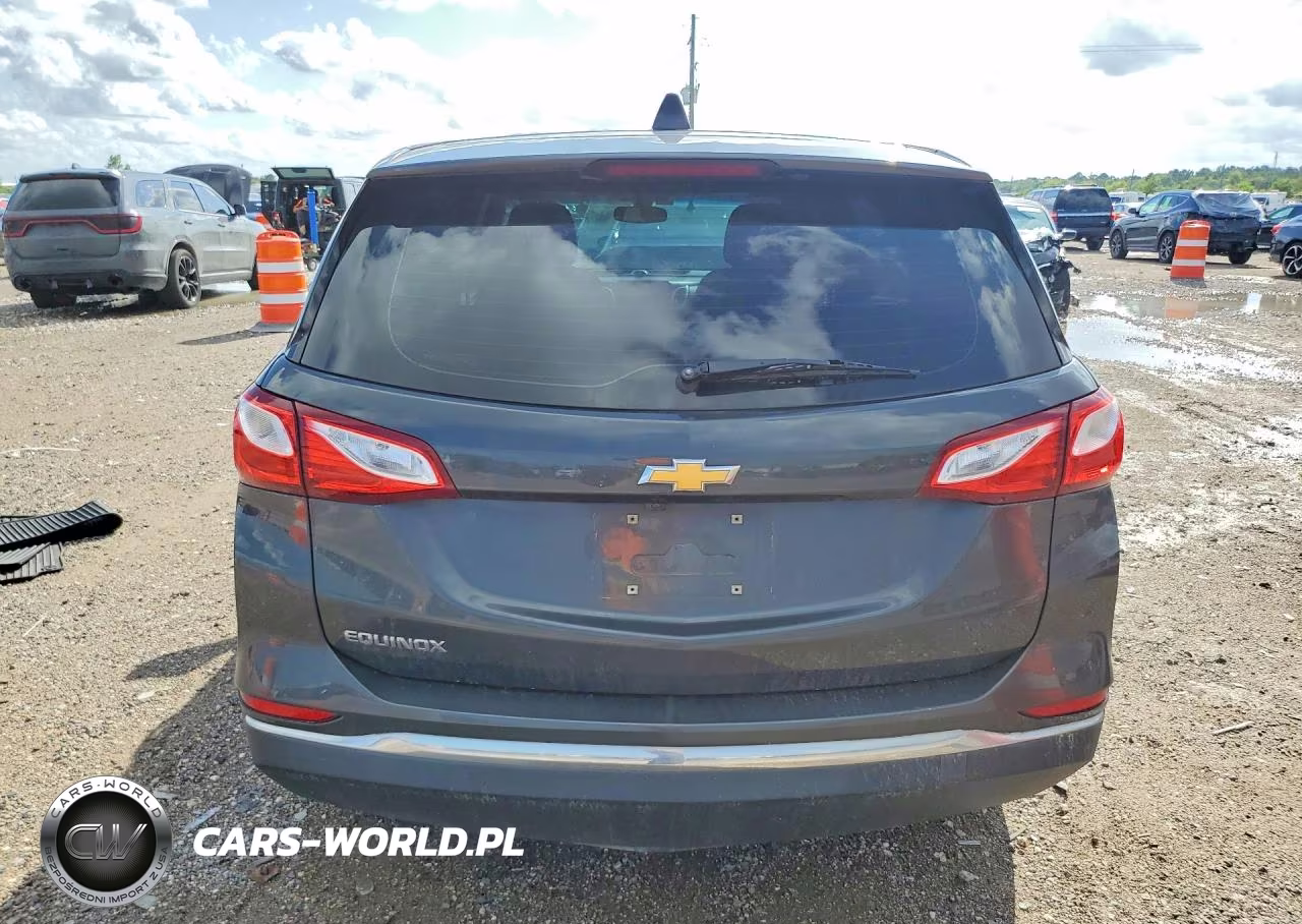 2018 Chevrolet Equinox Ls VIN:3GNAXHEV4JS619558 - 6