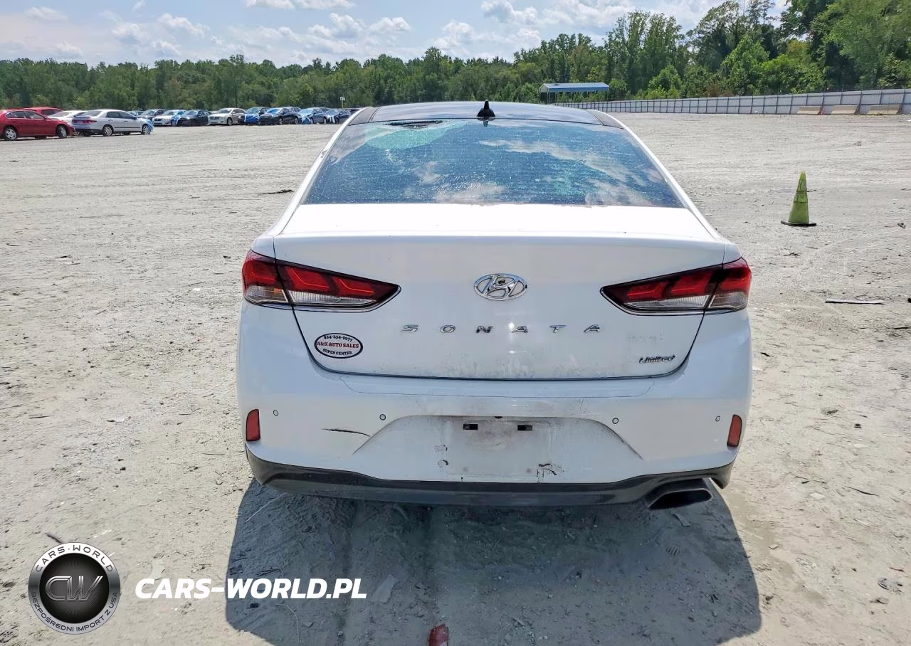 2018 Hyundai Sonata Limited VIN:5NPE34AF3JH720548 - 6