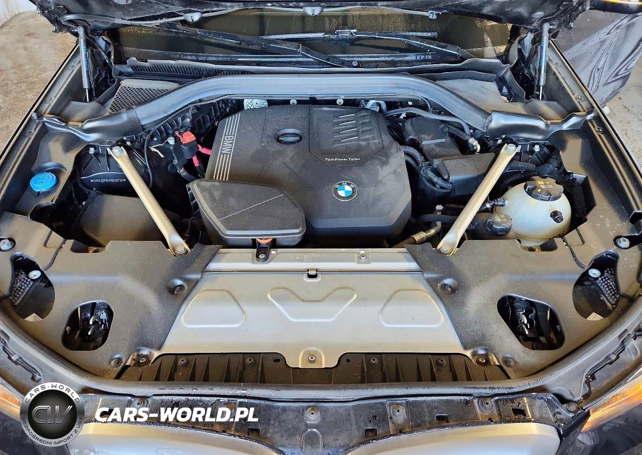 2023 BMW X3 xDrive30I VIN:5UX53DP04P9S10230 - 12