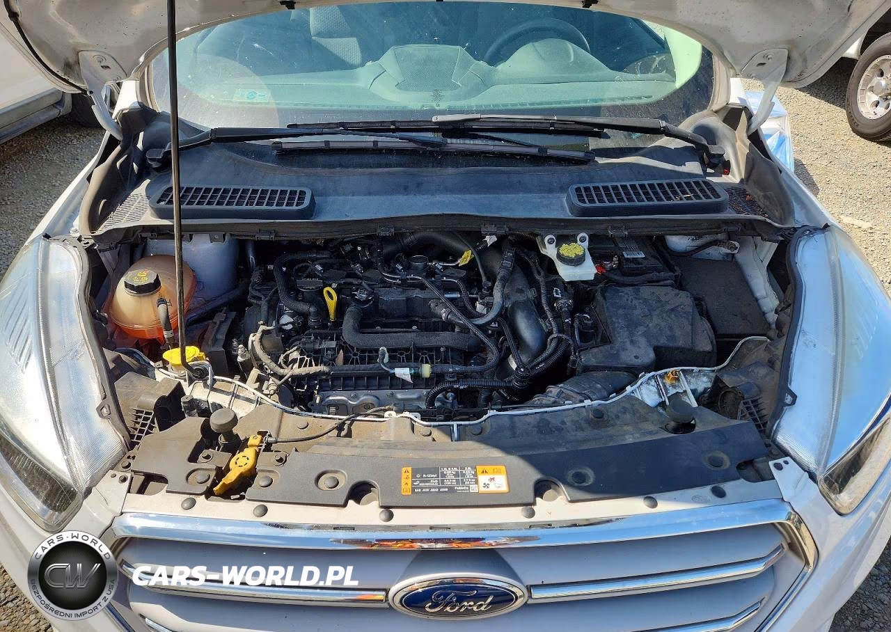 2019 Ford Escape Se VIN:1FMCU0GD0KUA20671 - 11