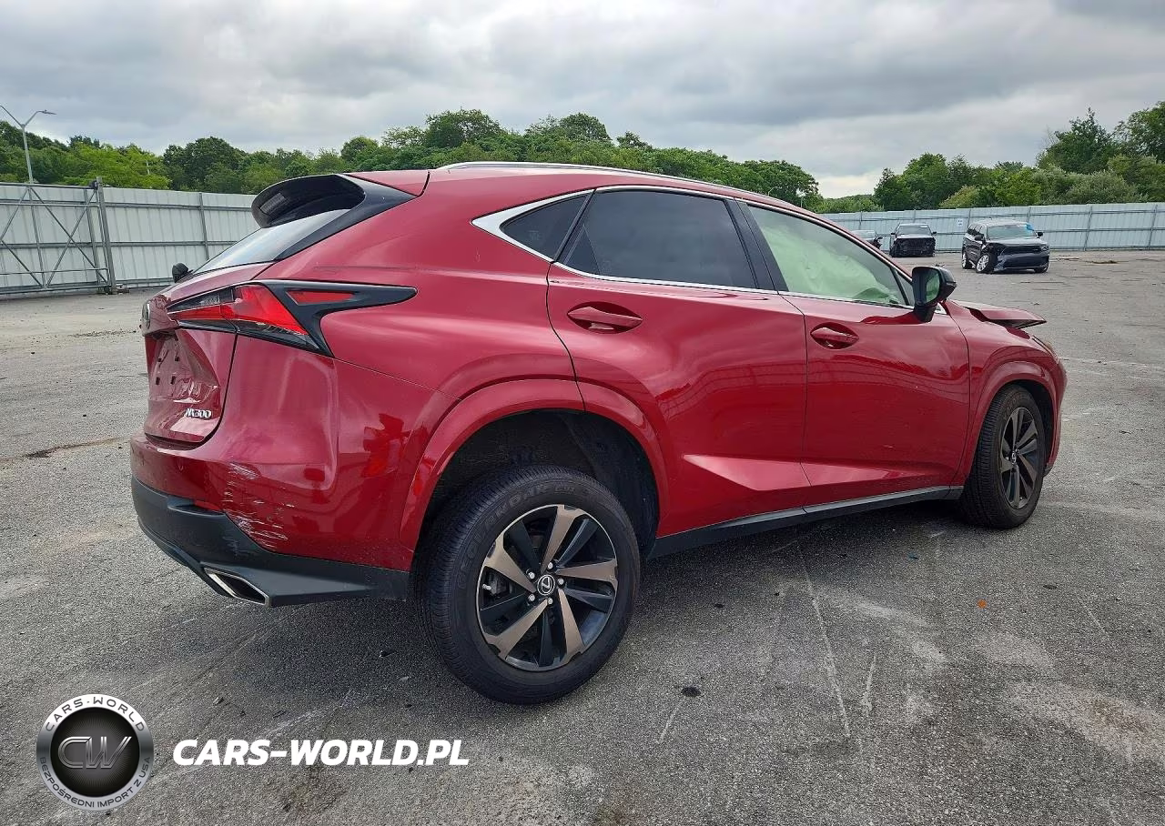 2020 Lexus Nx 300 VIN:JTJGARDZ0L2229938 - 3