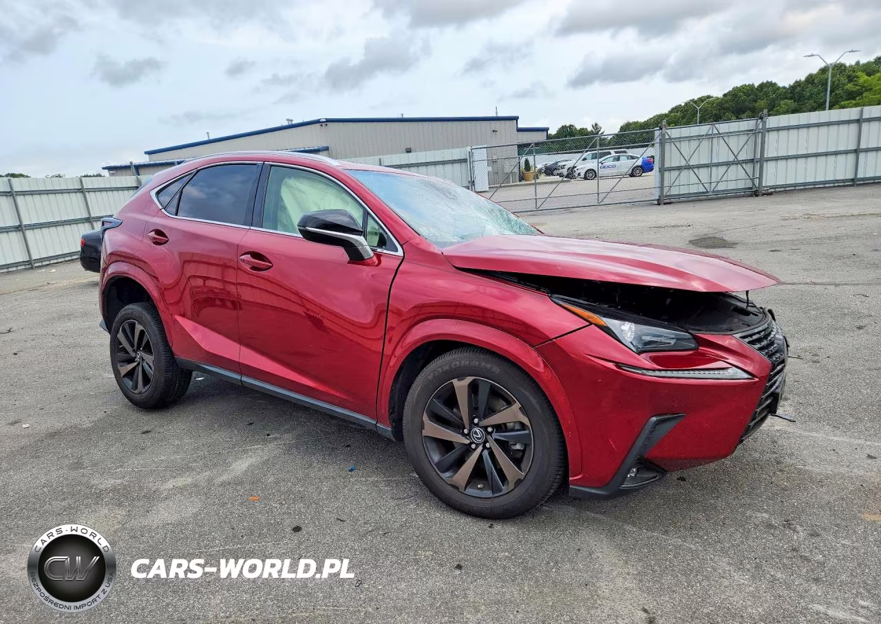 2020 Lexus Nx 300 VIN:JTJGARDZ0L2229938 - 4