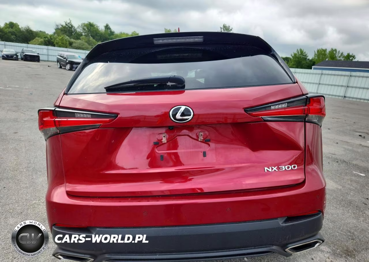 2020 Lexus Nx 300 VIN:JTJGARDZ0L2229938 - 6