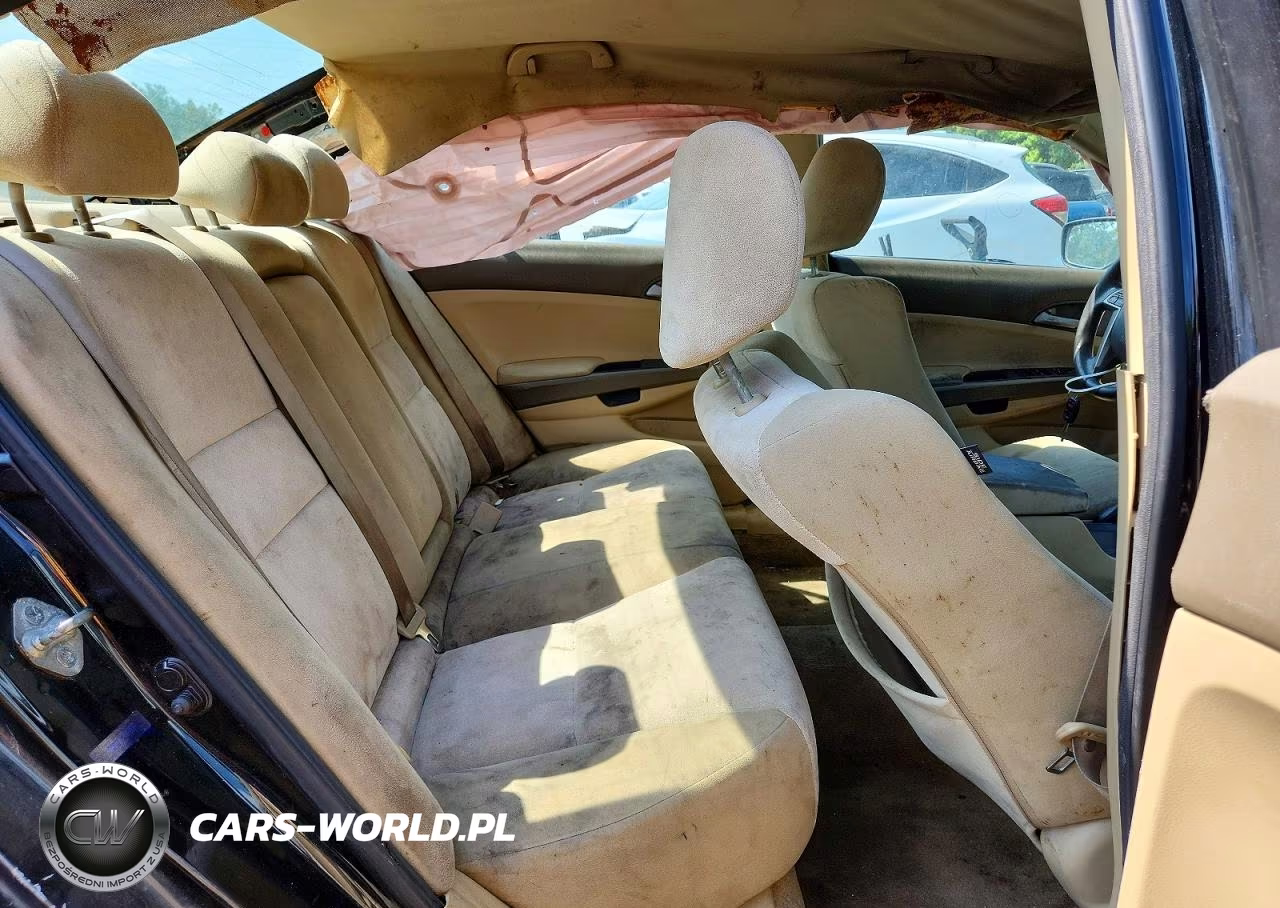 2010 Honda Accord Lxp VIN:1HGCP2F47AA144530 - 10