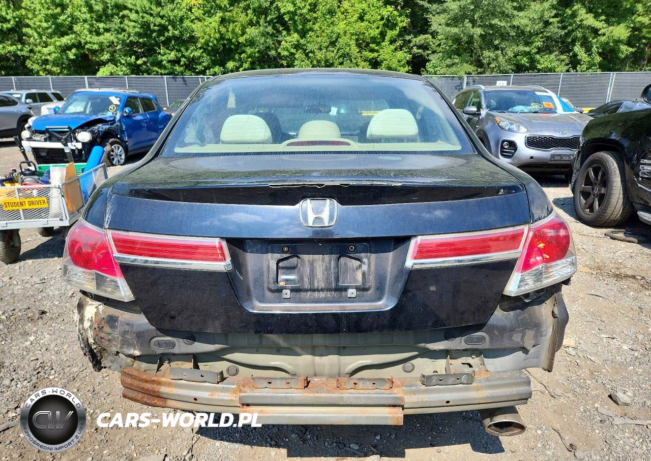 2010 Honda Accord Lxp VIN:1HGCP2F47AA144530 - 6