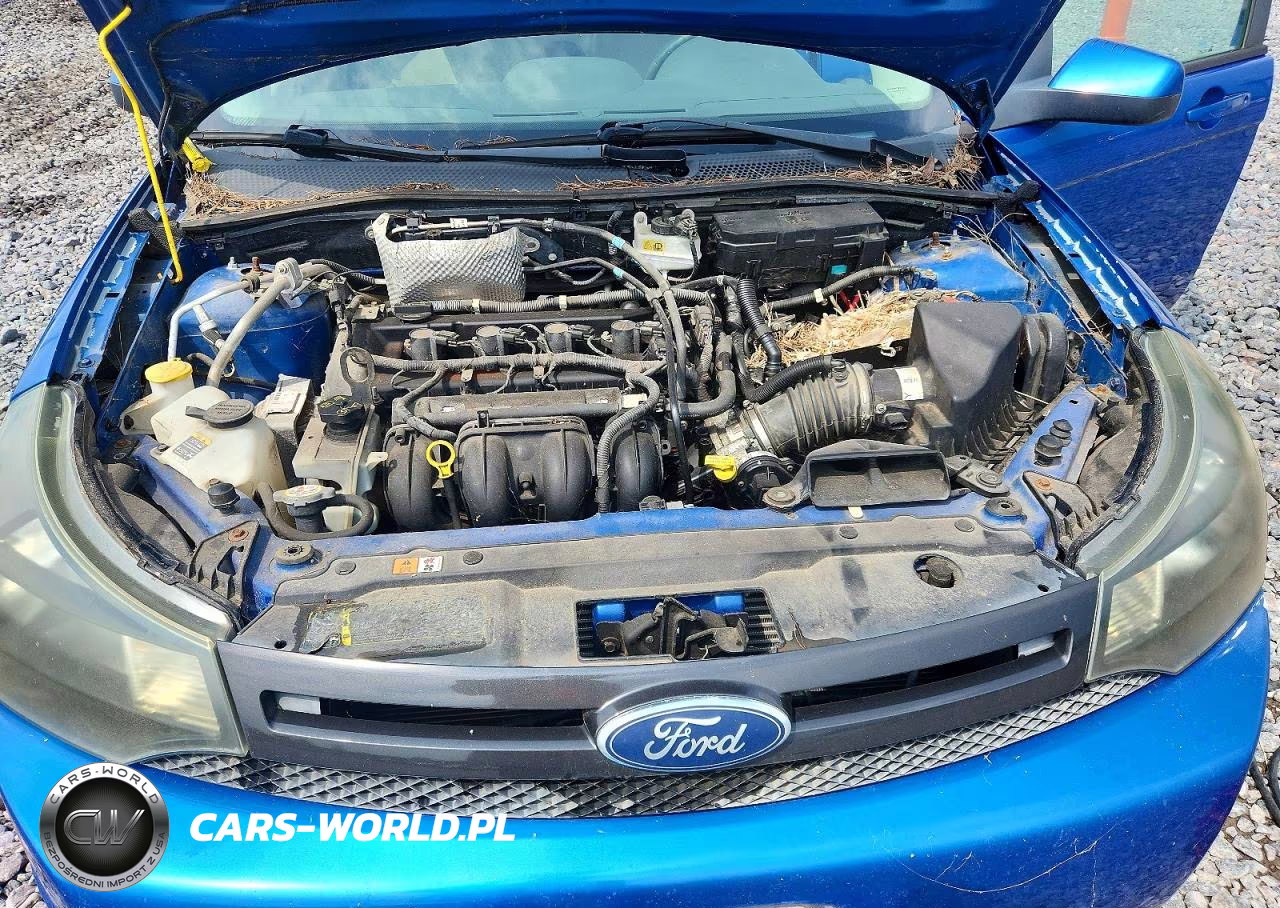 2011 Ford Focus Ses VIN:1FAHP3GN3BW175821 - 11