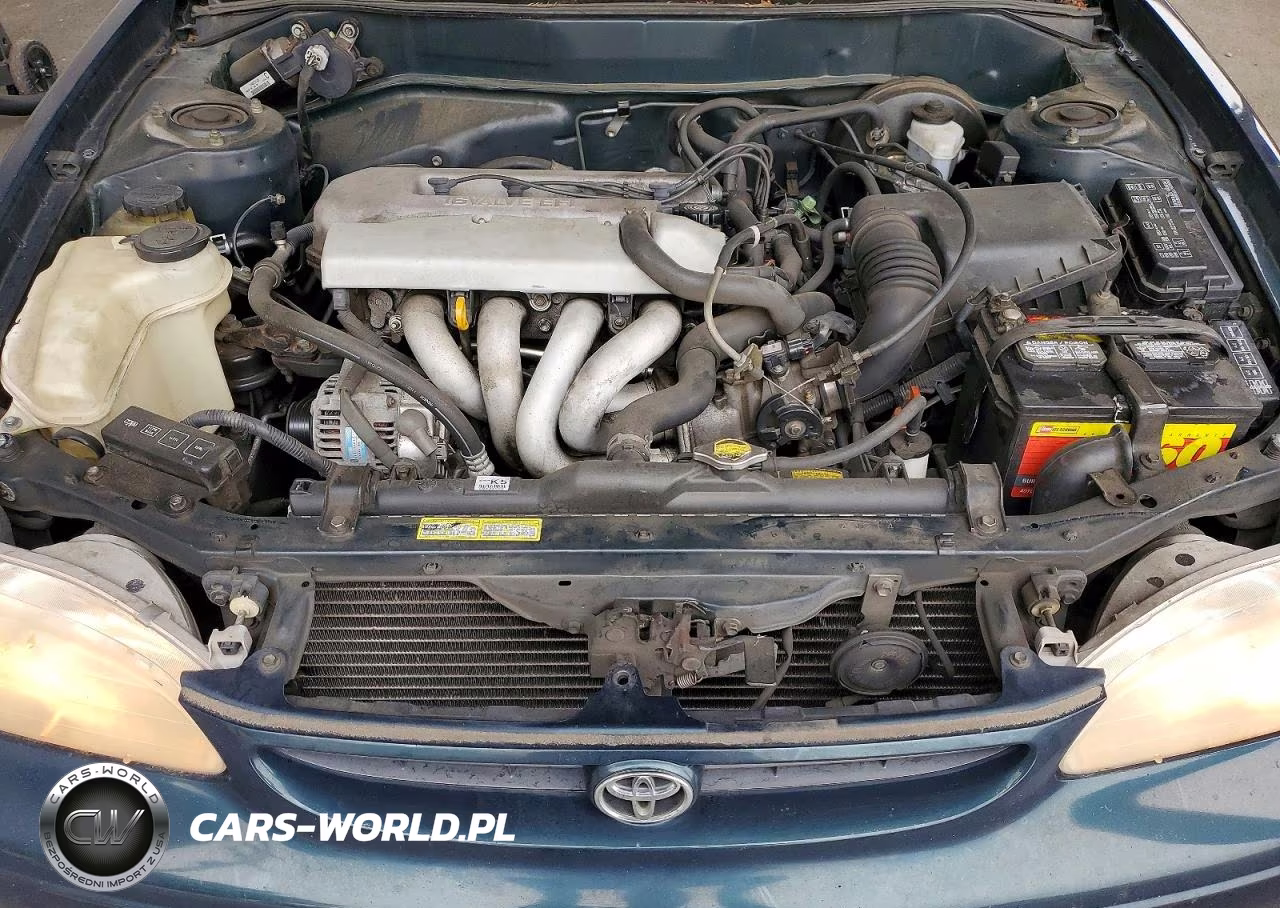 1999 Toyota Corolla Ve VIN:1NXBR12E8XZ172465 - 11