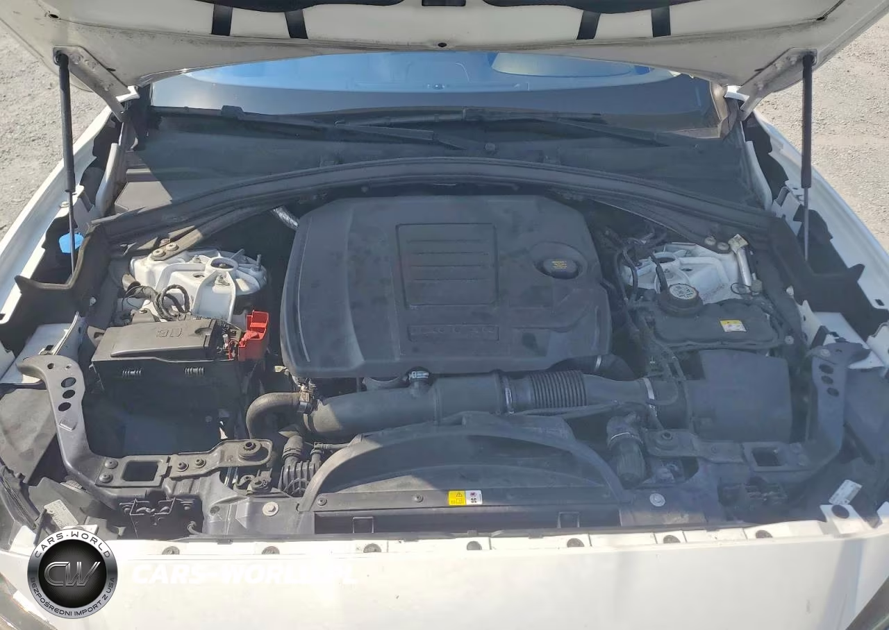 2019 Jaguar F-Pace Prestige VIN:SADCK2FX2KA361111 - 12