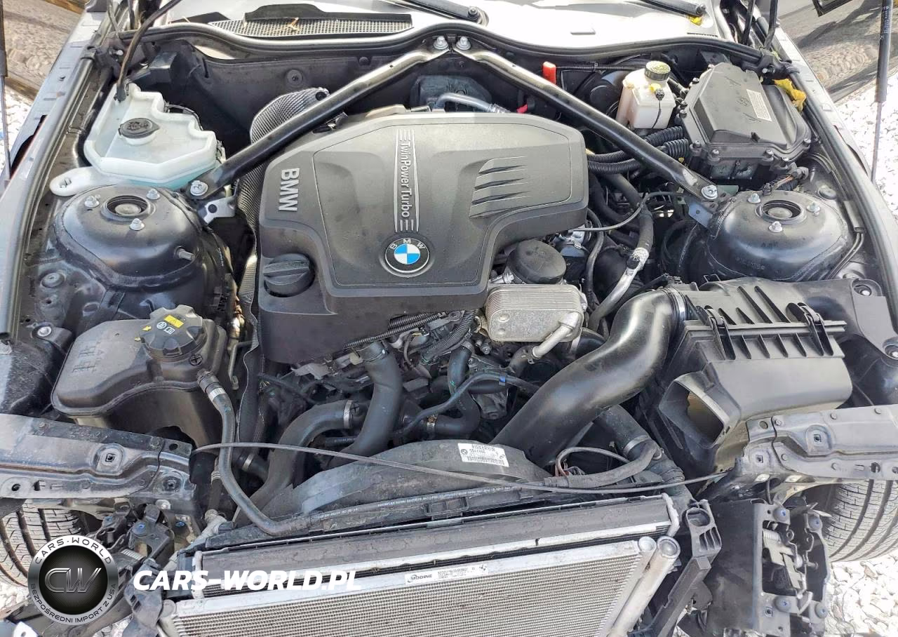 2015 BMW Z4 Sdrive28I VIN:WBALL5C52FP557630 - 11