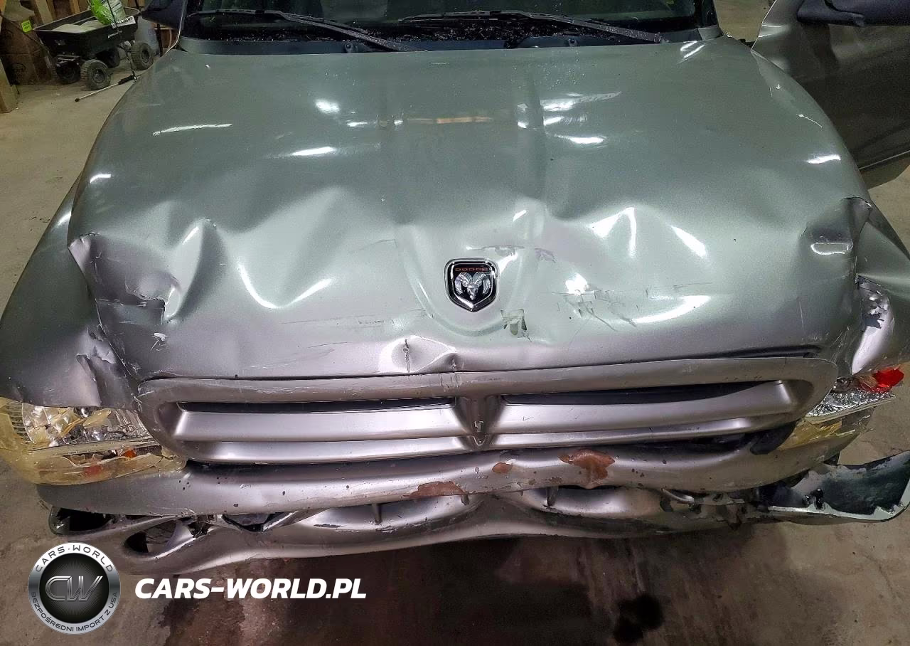 2000 Dodge Durango VIN:1B4HS28Z3YF238118 - 12
