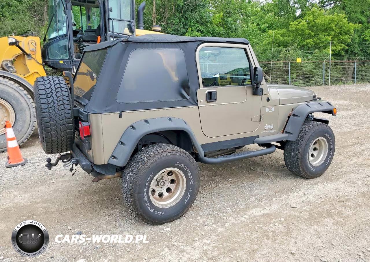 2004 Jeep Wrangler X VIN:1J4FA39S34P793055 - 3