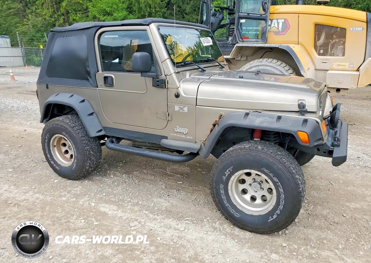 2004 Jeep Wrangler X VIN:1J4FA39S34P793055 - 4