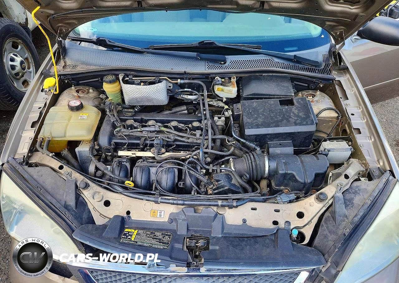 2005 Ford Focus VIN:1FAHP36N85W193253 - 11