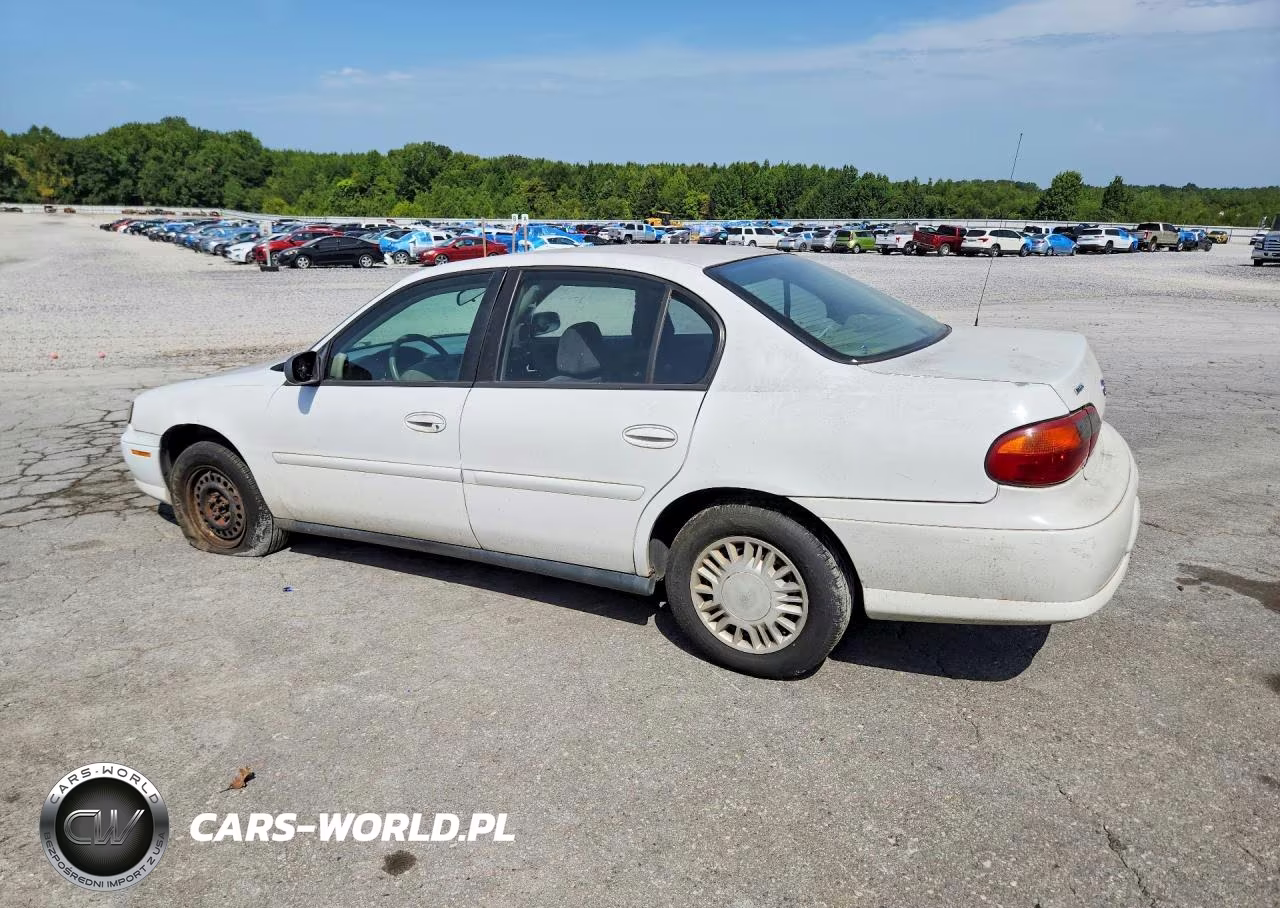 2005 Chevrolet Classic VIN:1G1ND52F95M110210 - 2