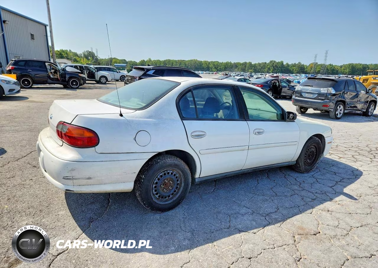 2005 Chevrolet Classic VIN:1G1ND52F95M110210 - 3