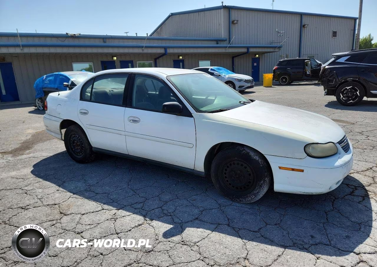 2005 Chevrolet Classic VIN:1G1ND52F95M110210 - 4