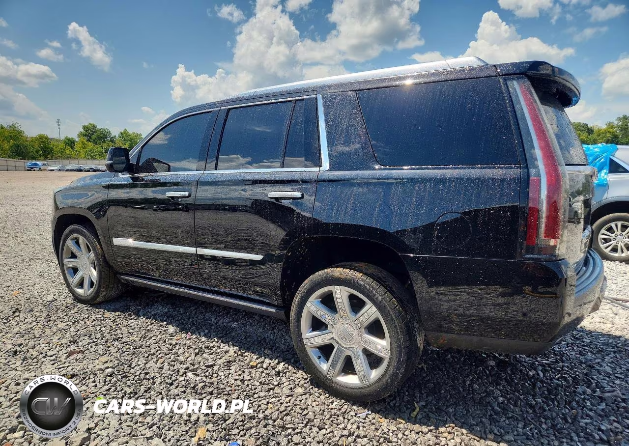 2018 Cadillac Escalade Premium Luxury VIN:1GYS4CKJXJR142030 - 2