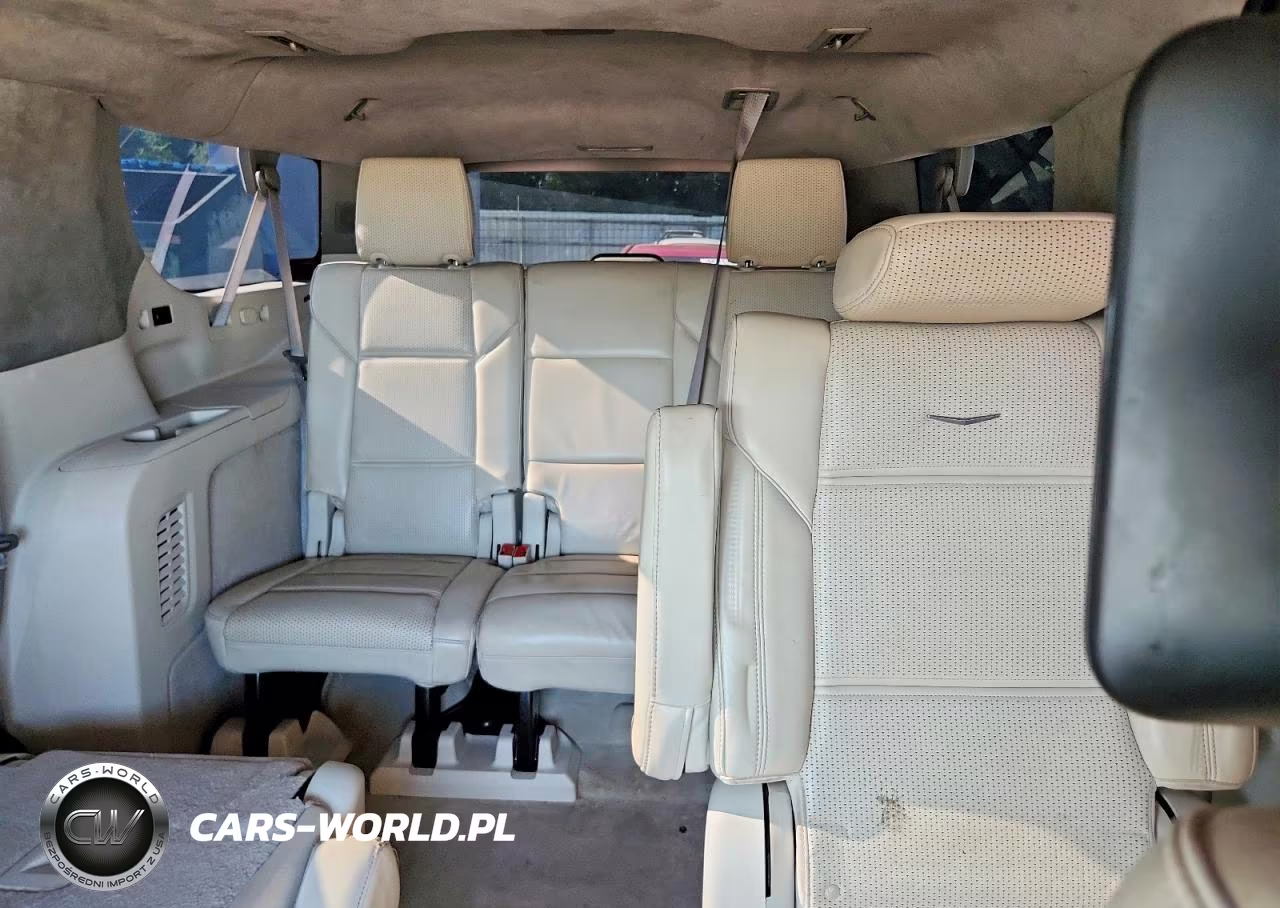 2021 Cadillac Escalade Esv Sport Platinum VIN:1GYS4RKL6MR490609 - 10