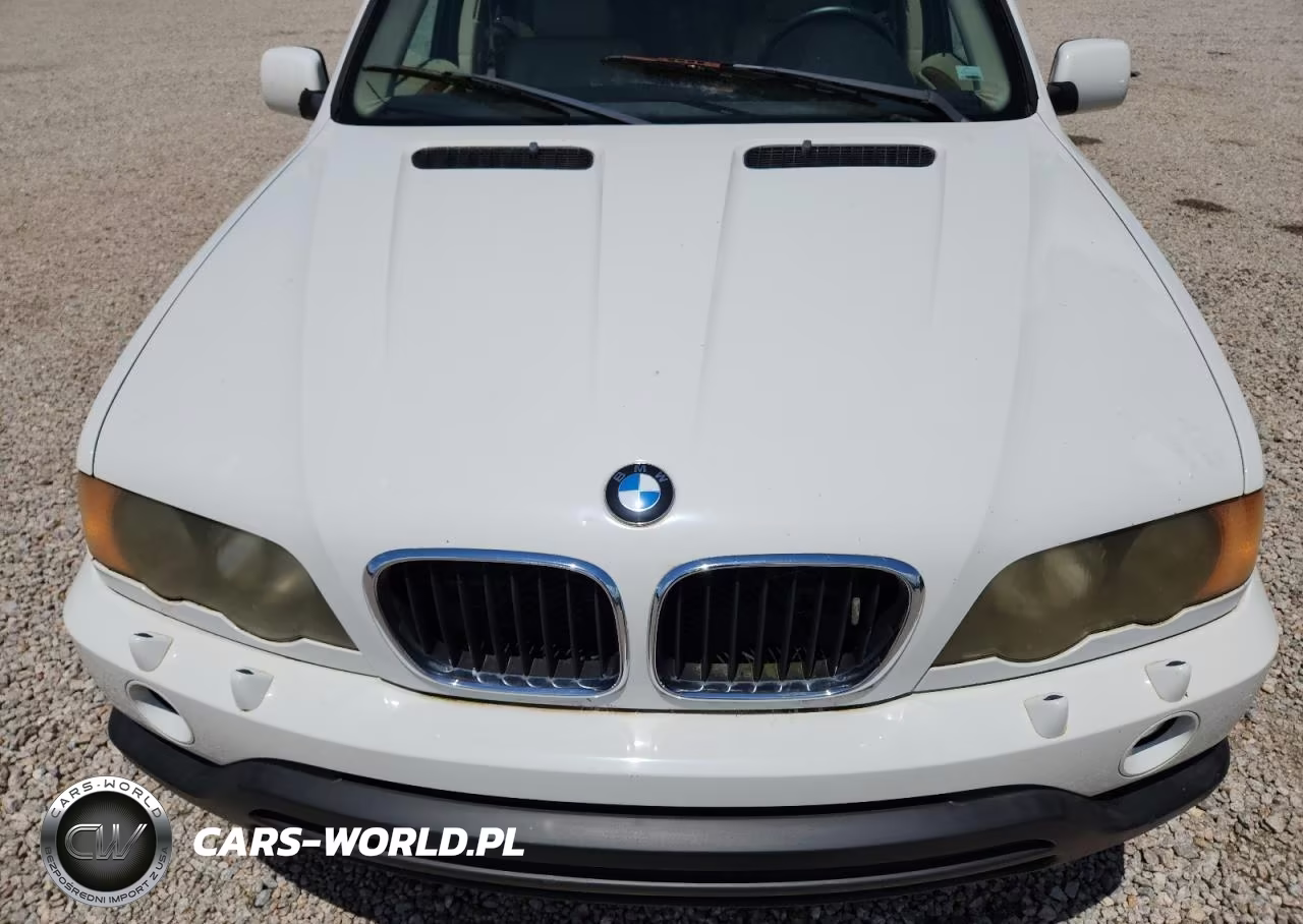 2001 BMW X5 3.0I VIN:WBAFA53581LM64730 - 12